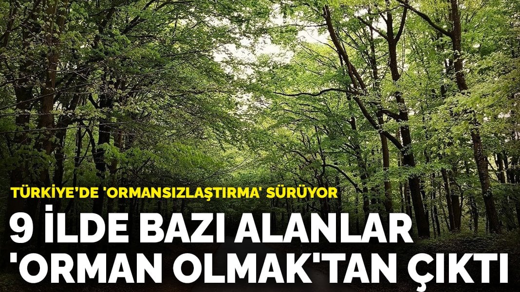 9 ilde bazı alanlar orman sınırları dışına çıkarıldı