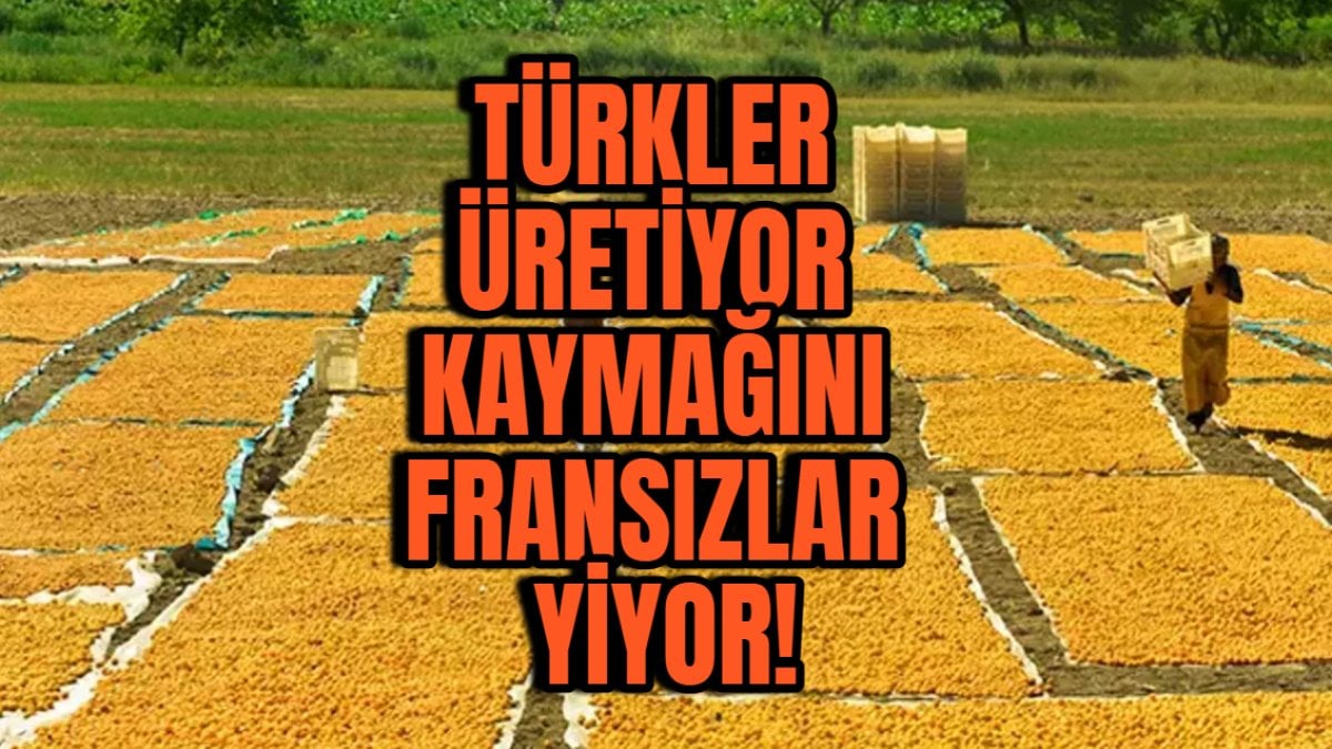 Türkler üretiyor kaymağını Fransızlar yiyor! Türkiye’de 280 TL Fransa’da 1 Euro’ya satılıyor