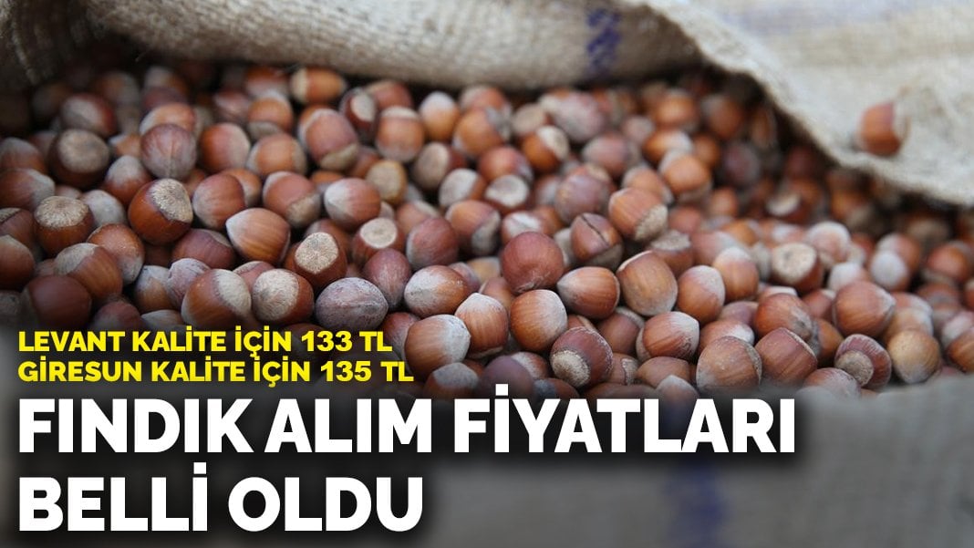 Fındık alım fiyatları belirlendi