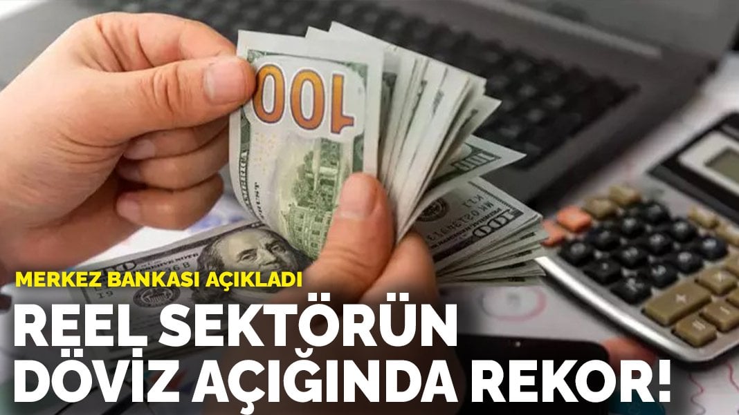 Merkez Bankası açıkladı: Reel sektörün döviz açığında rekor