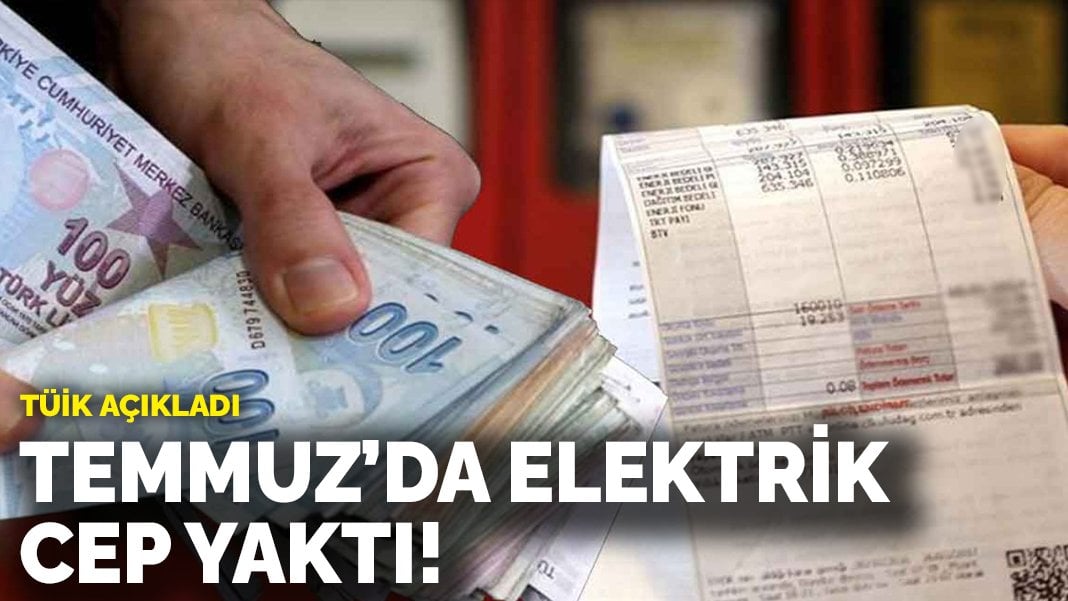 TÜİK açıkladı: Temmuz’da elektrik cep yaktı!