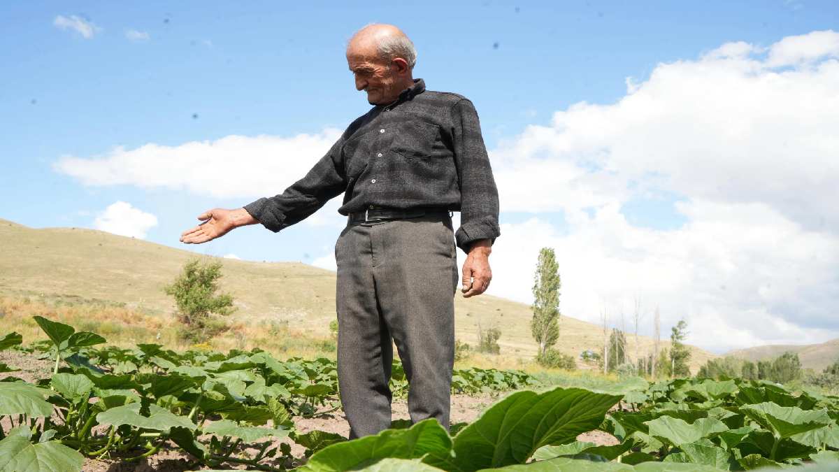 Yarım asırdır bu işi yapıyor, en doğalını tüketiyor! Herkesin arayıp bulamadığı ürünler o şehirde yetişiyor