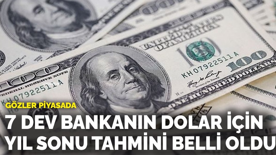 Dünyanın 7 dev bankasının yıl sonu için dolar tahmini belli oldu!