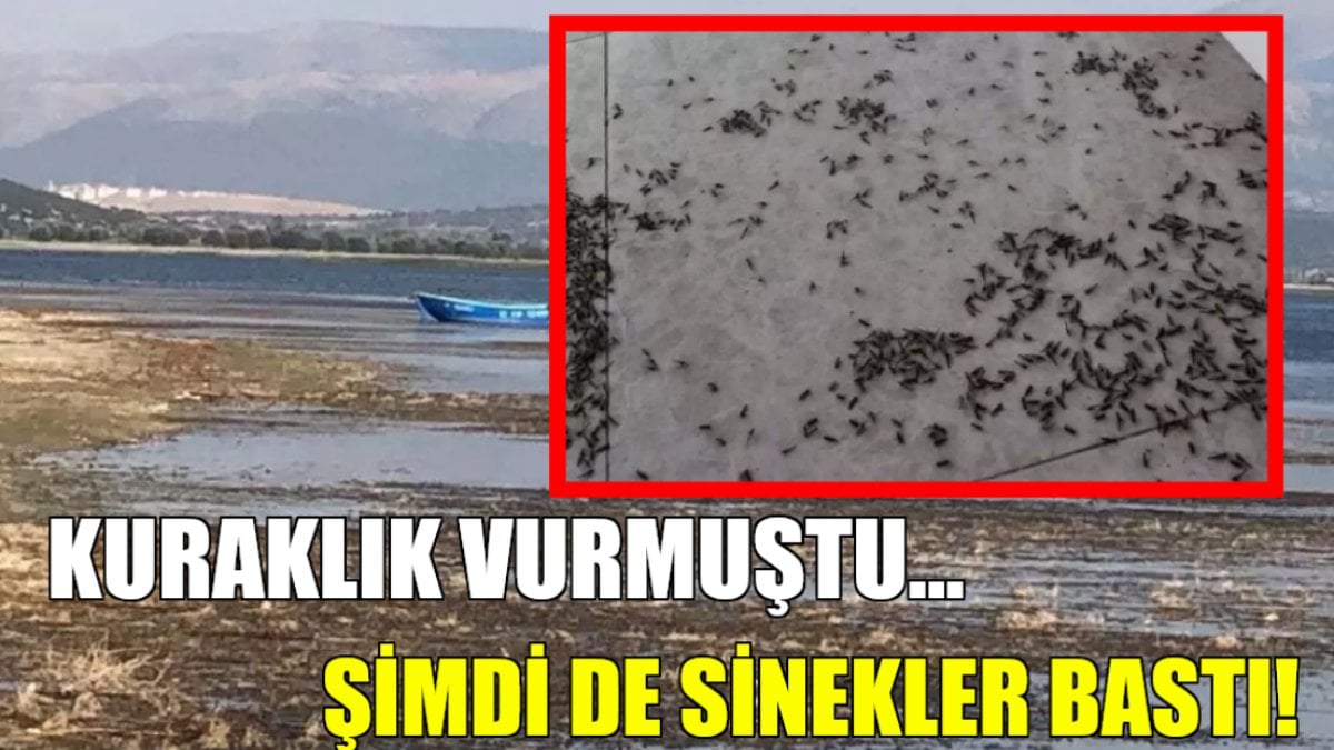 Türkiye’nin en güzel gölü bataklığa dönmüştü, şimdi her yeri sinek bastı! Mahalleli ışık bile yakamıyor