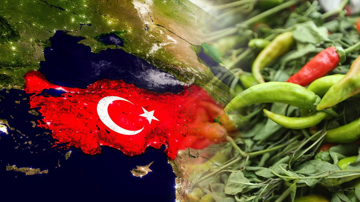 Tonlarca limon, biber, kayısıda tespit edildi! Bulgaristan’a gönderilecekti… O ürünlere ne olacağı belli oldu