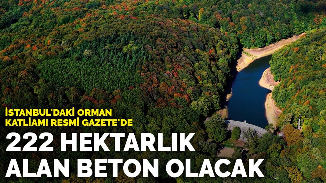 İstanbul’daki orman katliamı Resmi Gazete’de: 222 hektarlık alan beton olacak