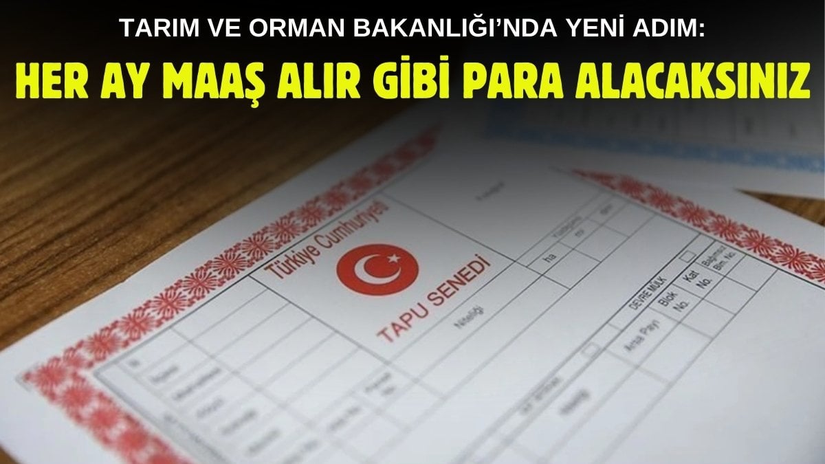 Anne babasından miras kalanlara bir talih kuşu daha kondu! Devlet her ay maaş gibi para ödeyecek