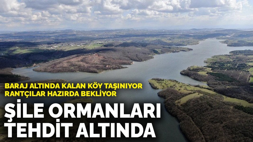 Şile ormanları tehdit altında: Baraj altında kalan köy taşınıyor, rantçılar hazırda bekliyor