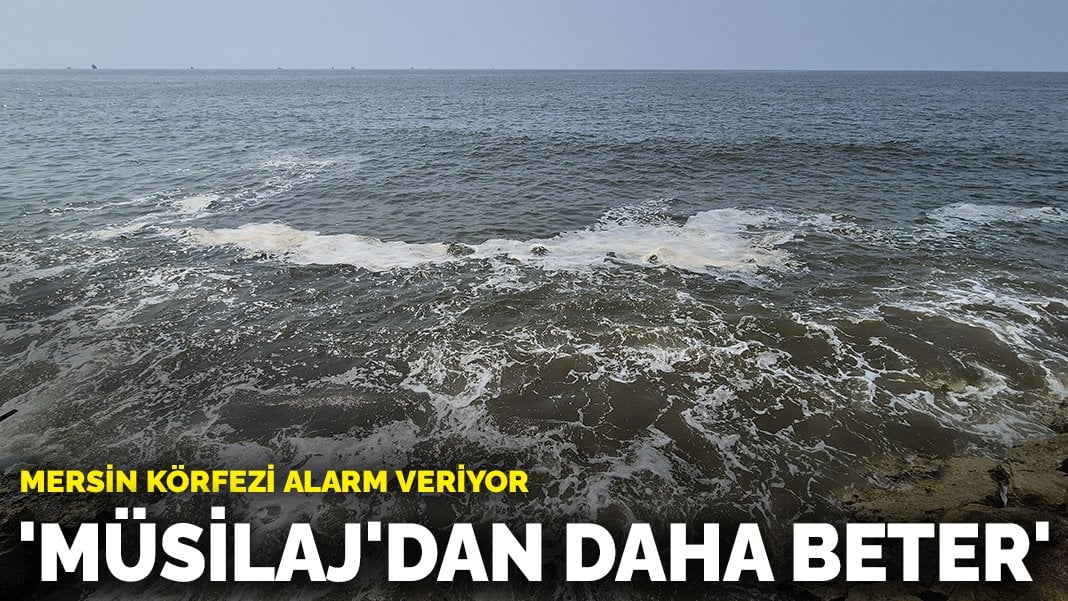 Mersin Körfezi alarm veriyor: ‘Müsilaj’dan daha beter’