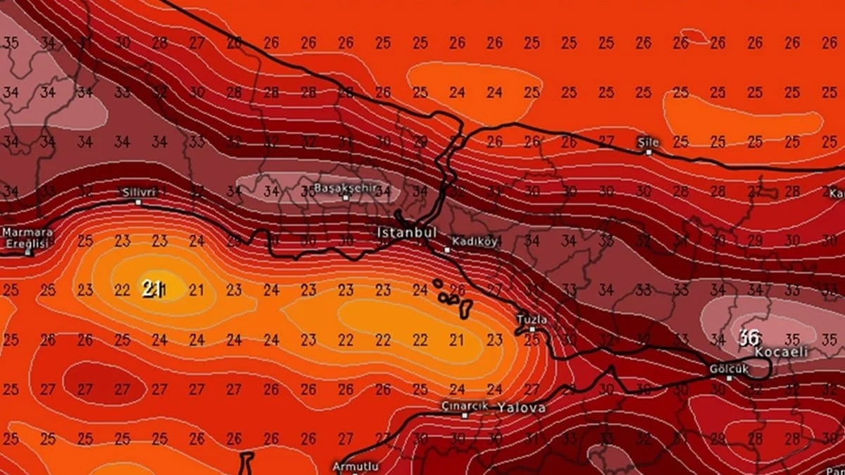 20 cm boyunu gören hayret etti! Sakın korkup öldürmeyin: Bu canlı çiftçilerin dostu çıktı