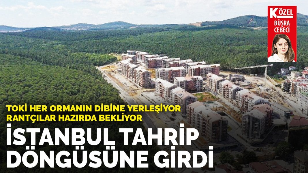 TOKi her ormanın dibine yerleşiyor: İstanbul tahrip döngüsüne girdi