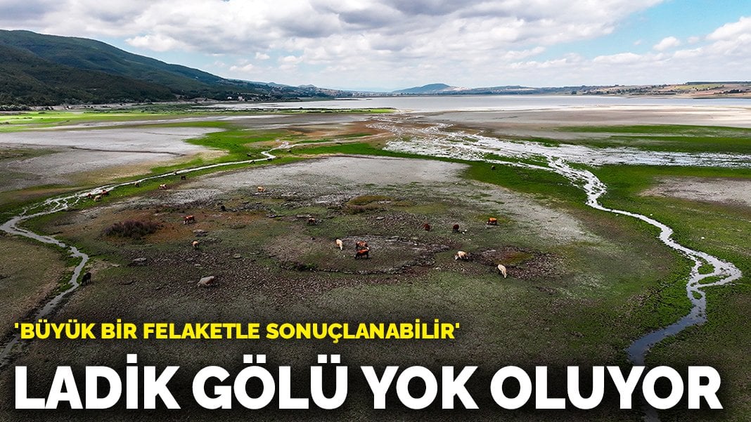 Ladik Gölü yok oluyor: ‘Büyük bir felaketle sonuçlanabilir’