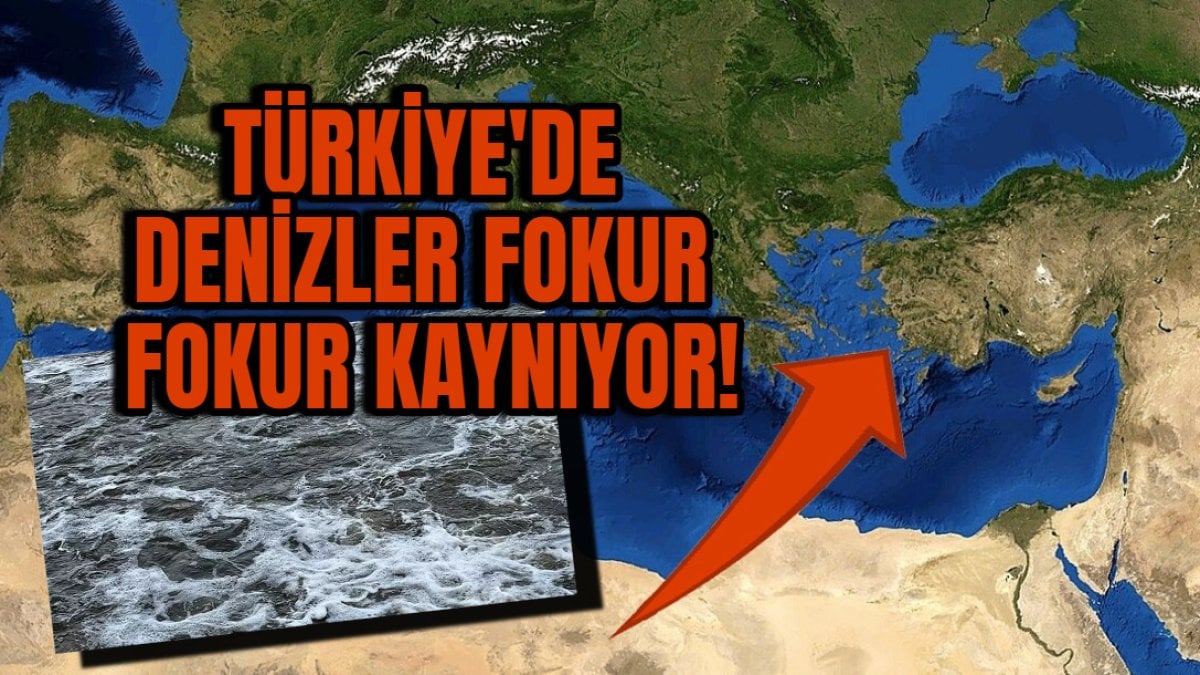 Türkiye’nin denizleri fokur fokur kaynıyor! Türkiye alarma geçti: Böylesi hiç görülmedi