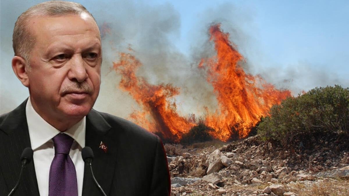 Erdoğan, yangına destek veren Aliyev’e teşekkürlerini iletti