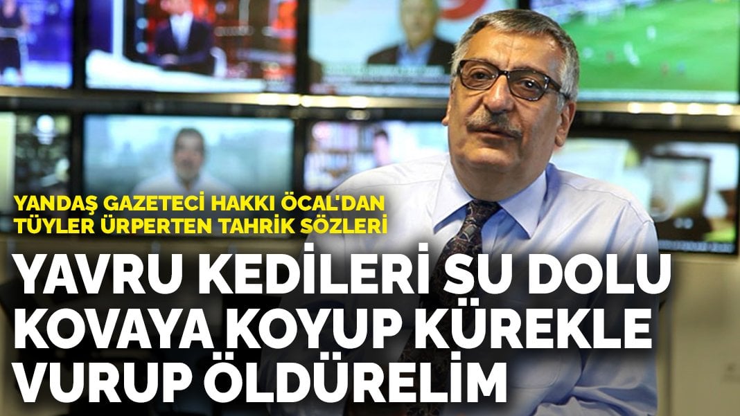 Yandaş gazeteci Hakkı Öcal’dan tüyler ürperten tahrik sözleri: Yavru kedileri su dolu kovaya koyup kürekle vurup öldürelim