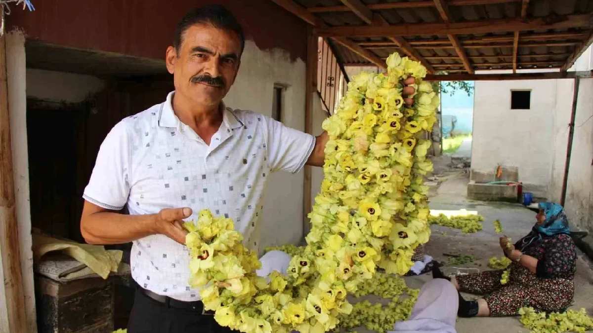 Değeri her yıl artıyor, kilosu bin TL’ye satılıyor! Çarşıda markette herkes arıyor, doğanın en güçlü kaynağı