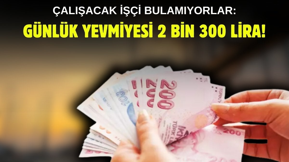 Ne KPSS gerekiyor ne belge… Yevmiyesi 2.300 liraya kadar çıkıyor, bu işi bileni patronlar havada kapıyor