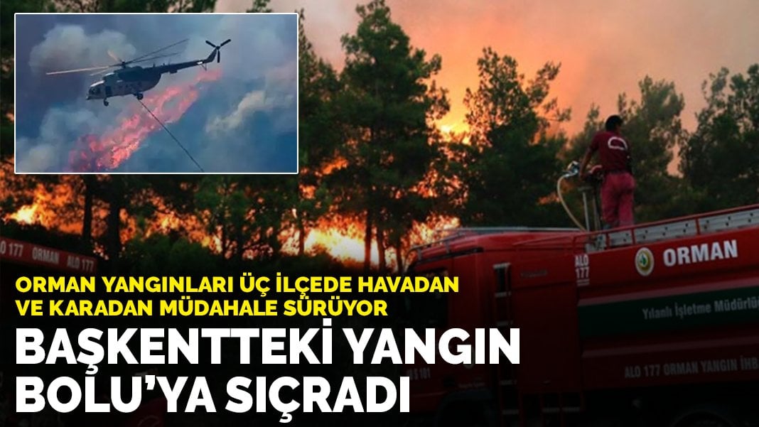 Orman yangınları üç ilçede havadan ve karadan müdahale sürüyor: Başkentteki yangın Bolu’ya sıçradı