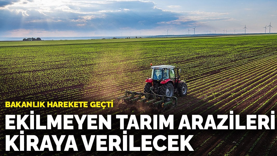 Tarım ve Orman Bakanlığı harekete geçti: Ekilmeyen tarım arazileri kiraya verilecek