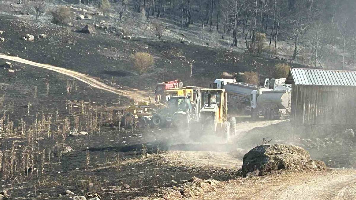 Ankara-Bolu sınırındaki yangından etkilenen köylüler konuştu: ‘Evimizi yapsınlar, eşyadan öte hatıralarımız vardı’