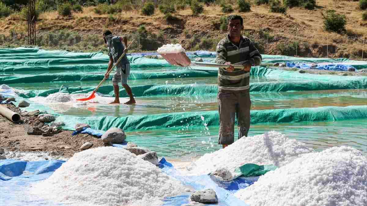 Sıcak hava onlara yaradı! Kuyulardan hasat ediliyor, sıcakla verim de artıyor: Köyün tek geçim kaynağı oldu