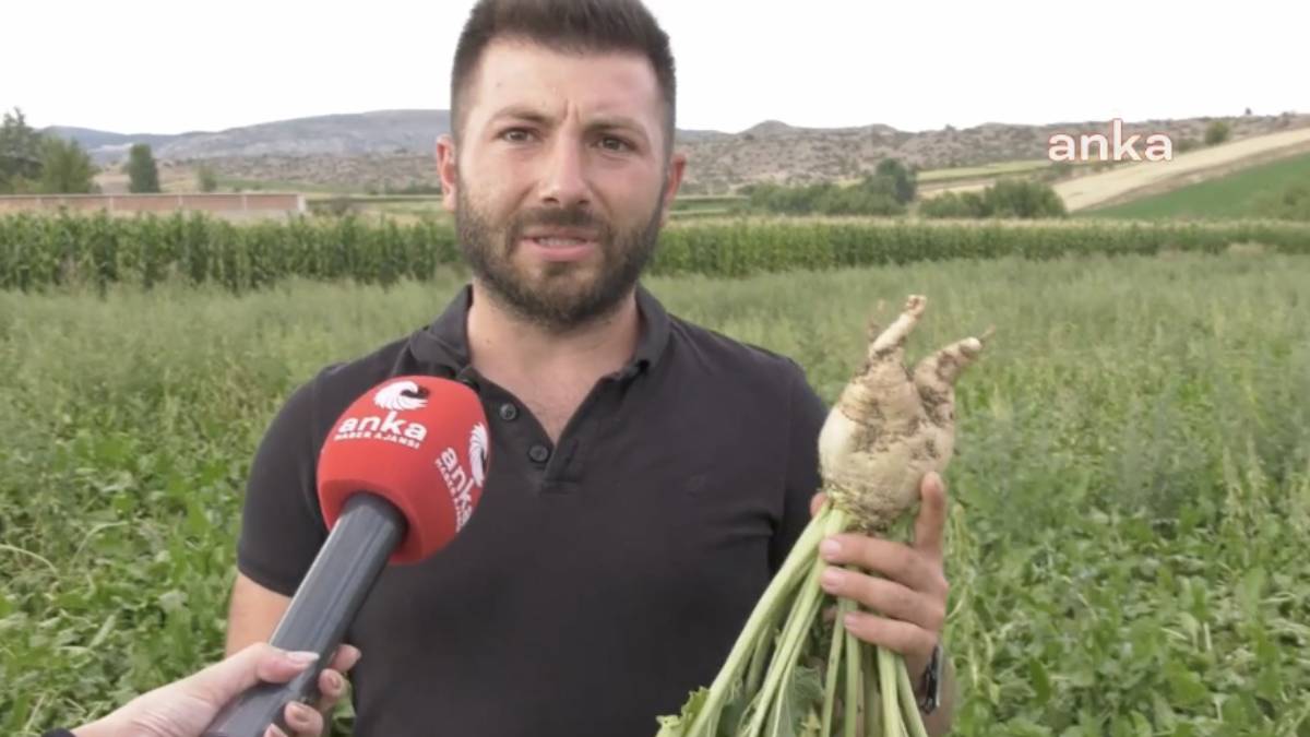 Kastamonulu çiftçiler kan ağlıyor: ‘Böyle devam ederse çiftçi kalmayacak’