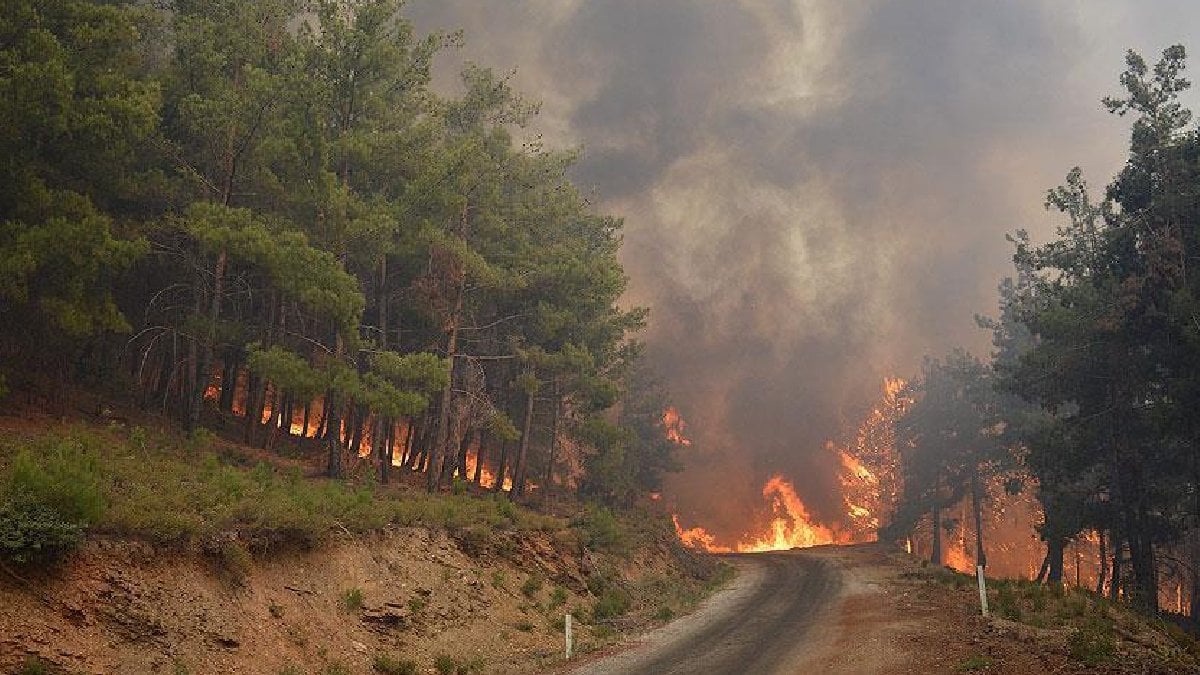 AFAD duyurdu: İzmir ve Aydın’daki yangında zarar görenlere nakdi yardım yapılacak