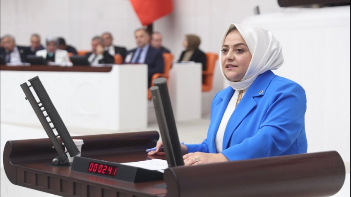 Sema Silkin Ün:  Vatandaşlarımızın haklarını bir avuç nitelikli spekülatöre peşkeş çektiremeyiz