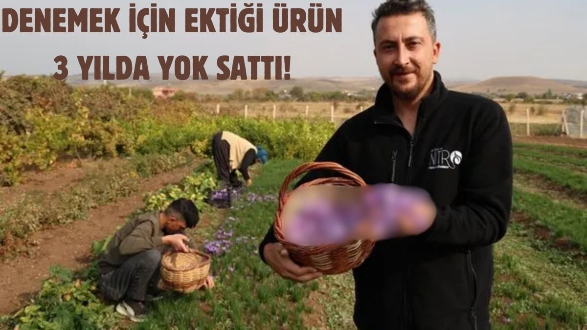 Mühendislik araştırması yaparken keşfetti denemek için dikti! Bu yıl 4’üncü hasadını yaptı: Gramı 200 TL’den yok sattı