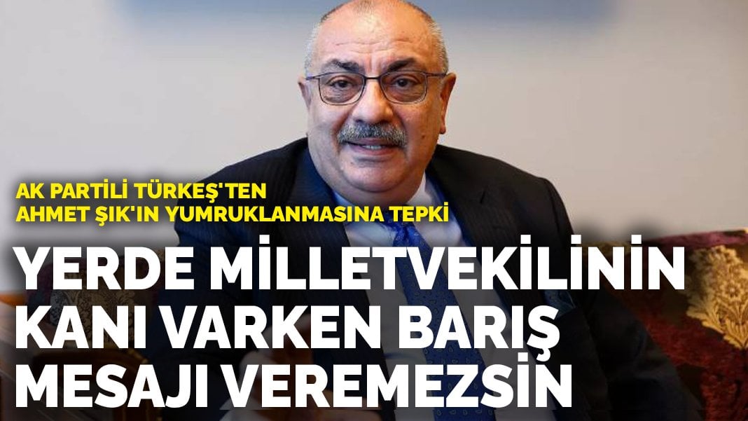 AK Partili Türkeş’ten Ahmet Şık’ın yumruklanmasına tepki: Yerde milletvekilinin kanı varken barış mesajı veremezsin…