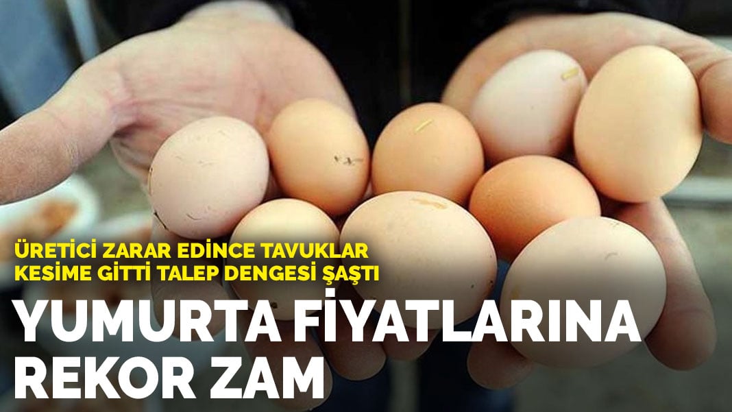 Üretici zarar edince tavuklar kesime gitti talep dengesi şaştı: Yumurta fiyatlarına rekor zam