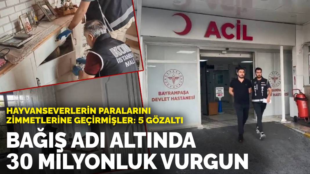 Bağış adı altında 30 milyonluk vurgun! Hayvanseverlerin paralarını zimmetlerine geçirmişler: 5 gözaltı