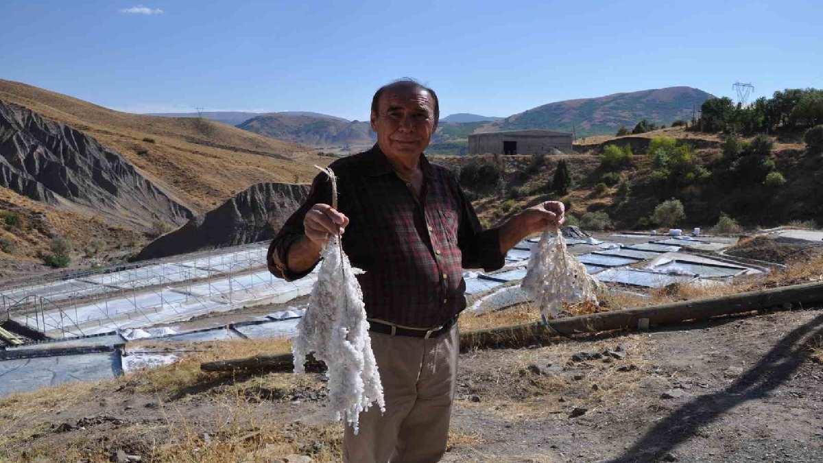 Metrelerce derinlikten çıkarılıyor, 1-2-5-10’luk olarak satılıyor! 84 mineralli hazine! Haziranda başlayıp Eylül’de sonlanıyor