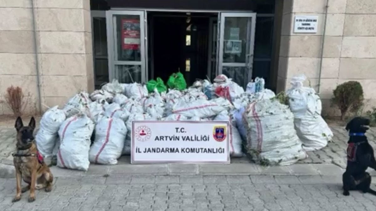 Artvin’de uyuşturucu operasyonu: 502 kilogram esrar ele geçirildi