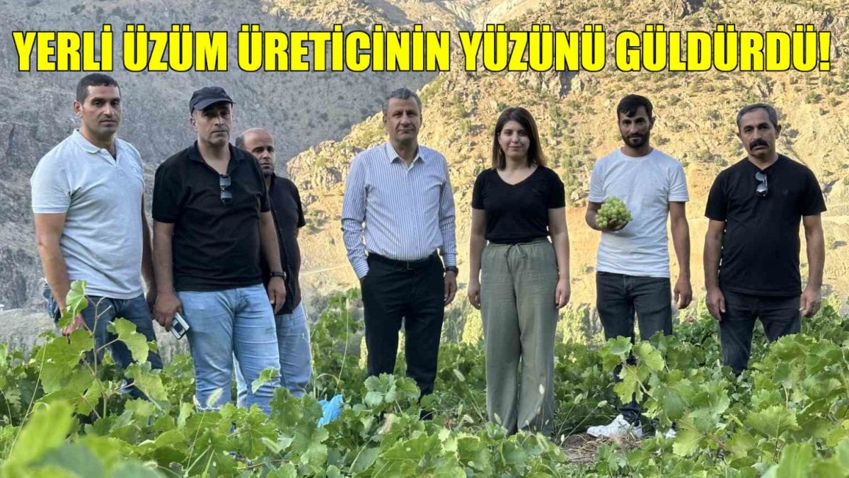 Yerli üzümde üreticinin yüzü güldü! Bu sene bereketiyle geldi