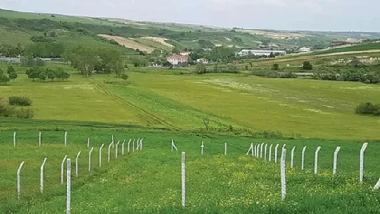 Arsa ve Tarla Yatırımlarında Sıra Dışı Kazanç Kapıları: Bu Şehirler Zenginleşmek İçin En İyi Seçimler!