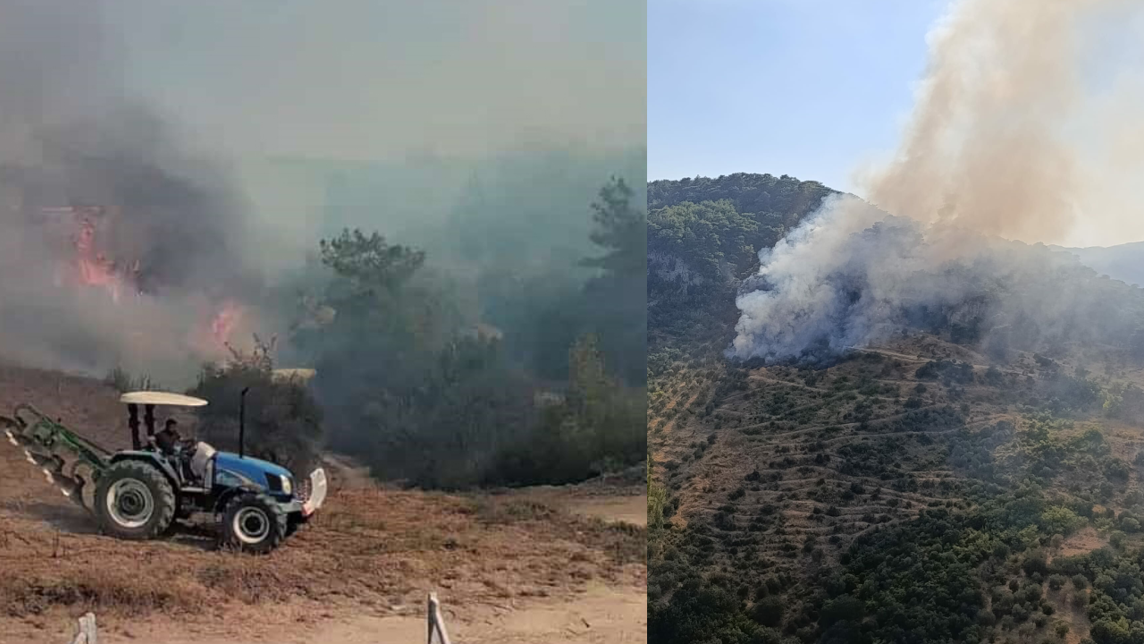 Adana ve Çanakkale’de Orman Yangını