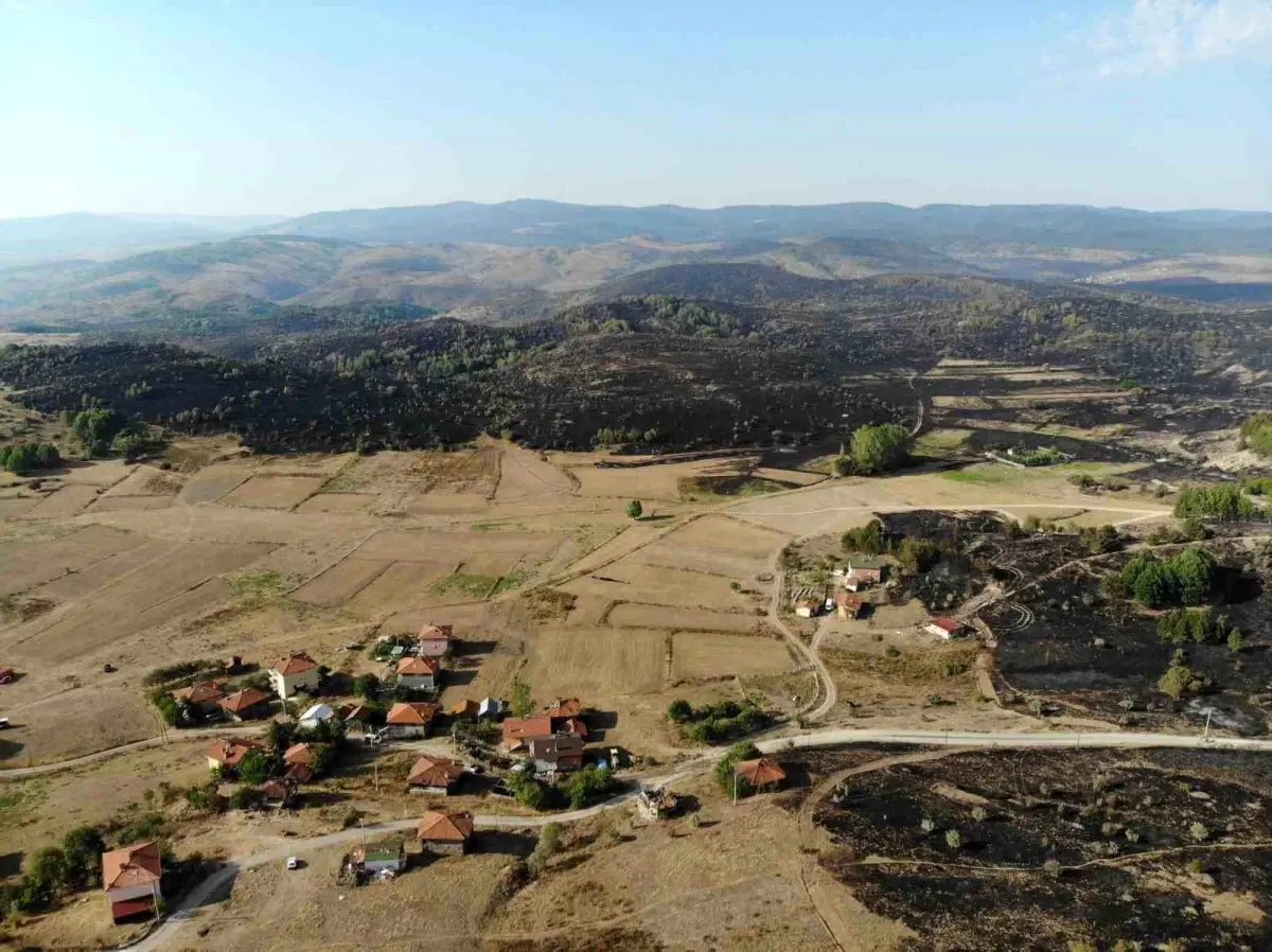 Ankara’da başlayan orman yangını havadan görüntülendi