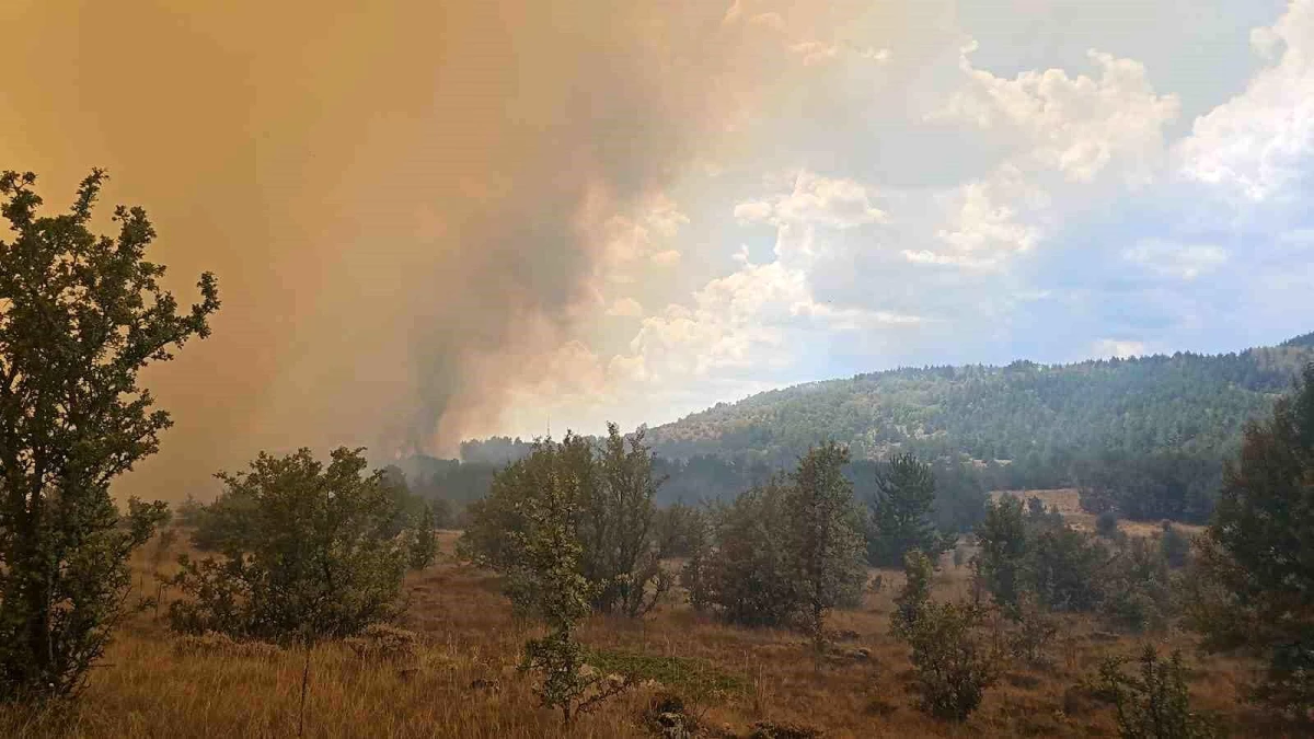 Ankara-Bolu sınırında çıkan yangın Gerede’ye sıçradı