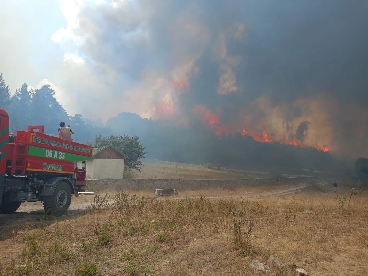 Ankara’nın Kızılcahamam ilçesinde orman yangını çıktı