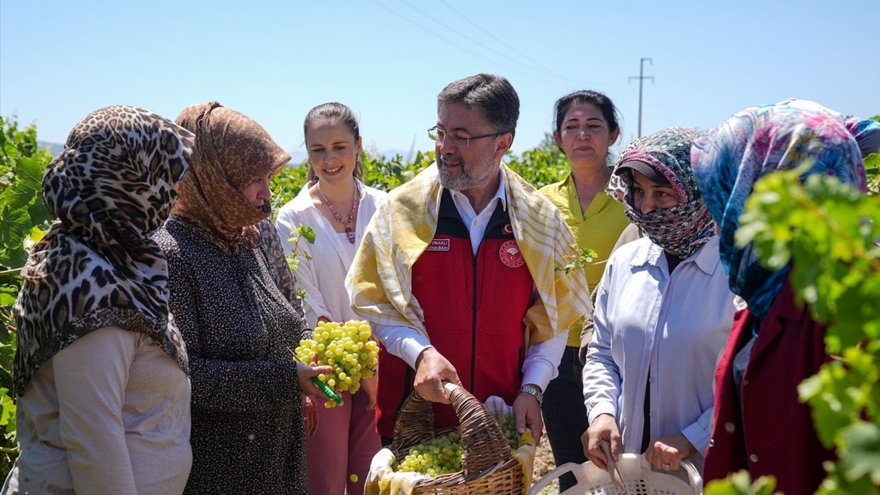 Bakan Yumaklı, Manisa’da Üzüm Hasadına Katıldı