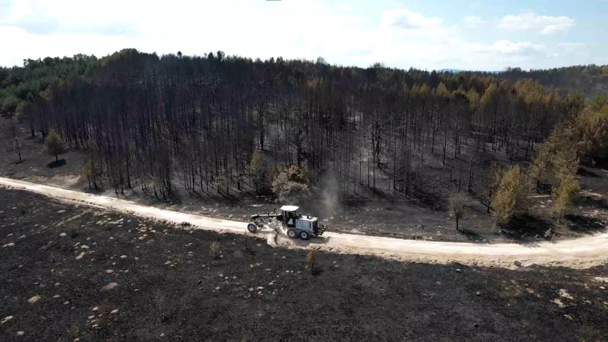 Ankara ve Bolu’da Orman Yangınları Söndürüldü