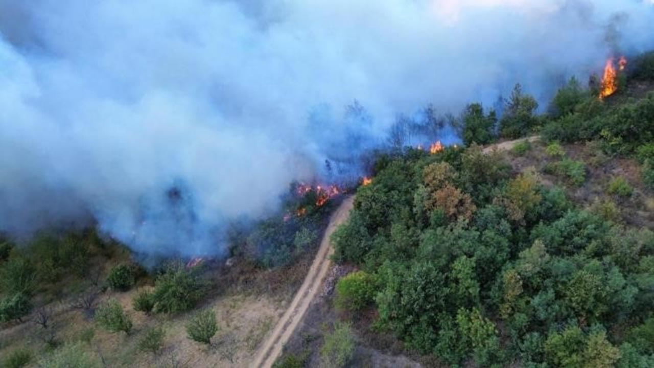 Bursa’da Orman Yangını 12 Saat Sonra Kontrol Altına Alındı