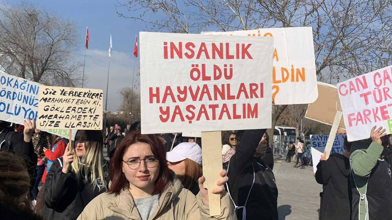 CHP, Katliam Yasası’nı AYM’ye Taşıyor: Başvuru Bu Hafta Yapılacak