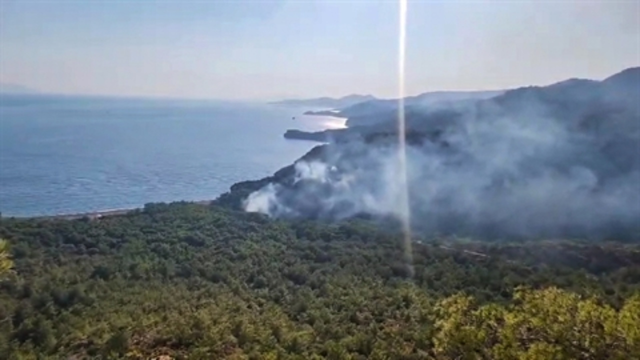 Datça’daki Orman Yangınına İlişkin Bir Kişi Gözaltına Alındı