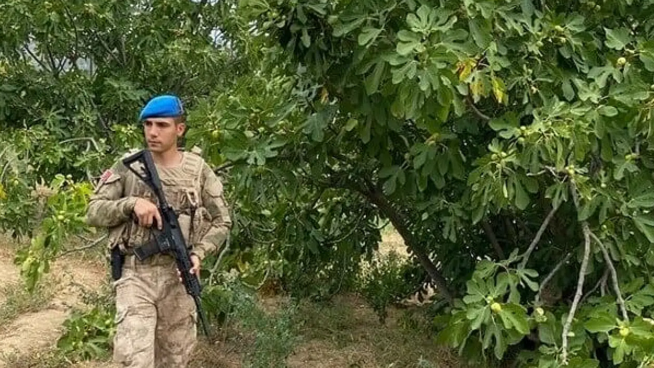 Hasat Başladı: Tarladaki Ürün Milyonlarca Lira Değerinde Olunca Jandarma Başından Ayrılmadı