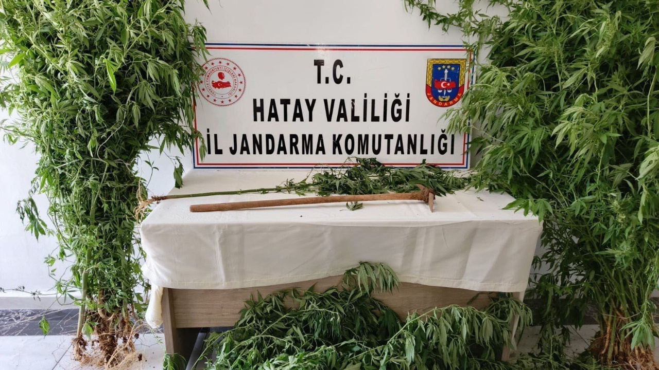 Hatay’da Jandarmadan Operasyon: 4 Kilo Esrar ve 5 Tabanca Yakalandı