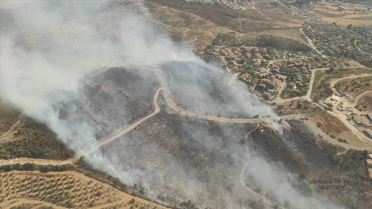 İzmir’de Makilik Alanda Yangın Çıktı