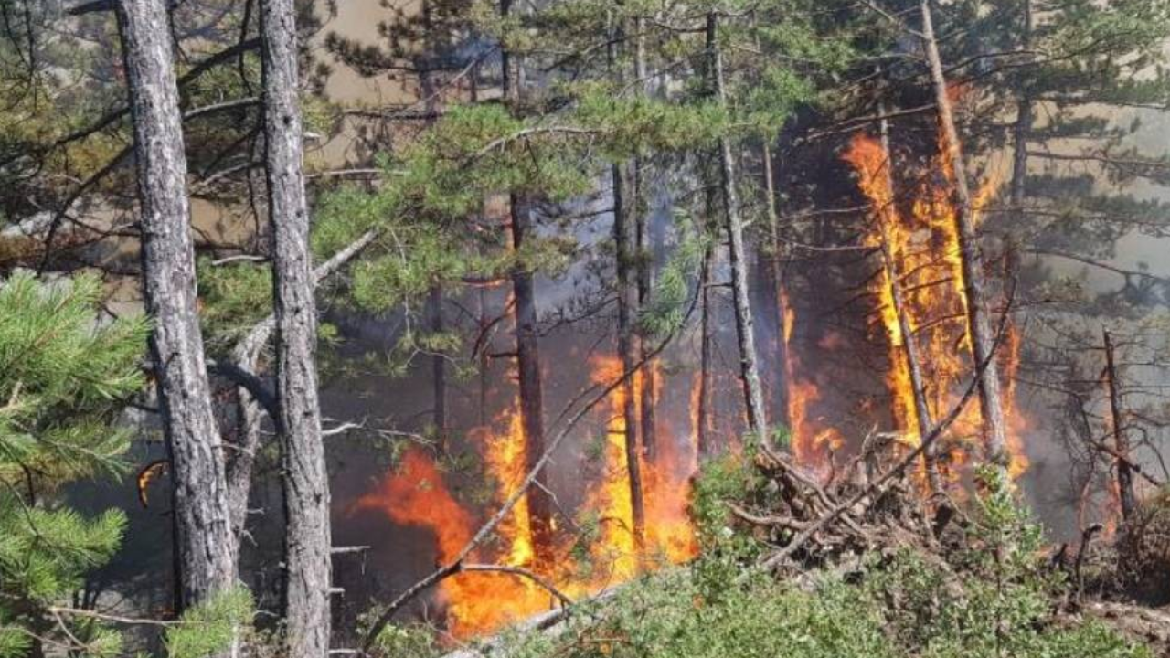 İzmir’de Bir Yangın Daha: Menderes’te Orman Yangını Çıktı