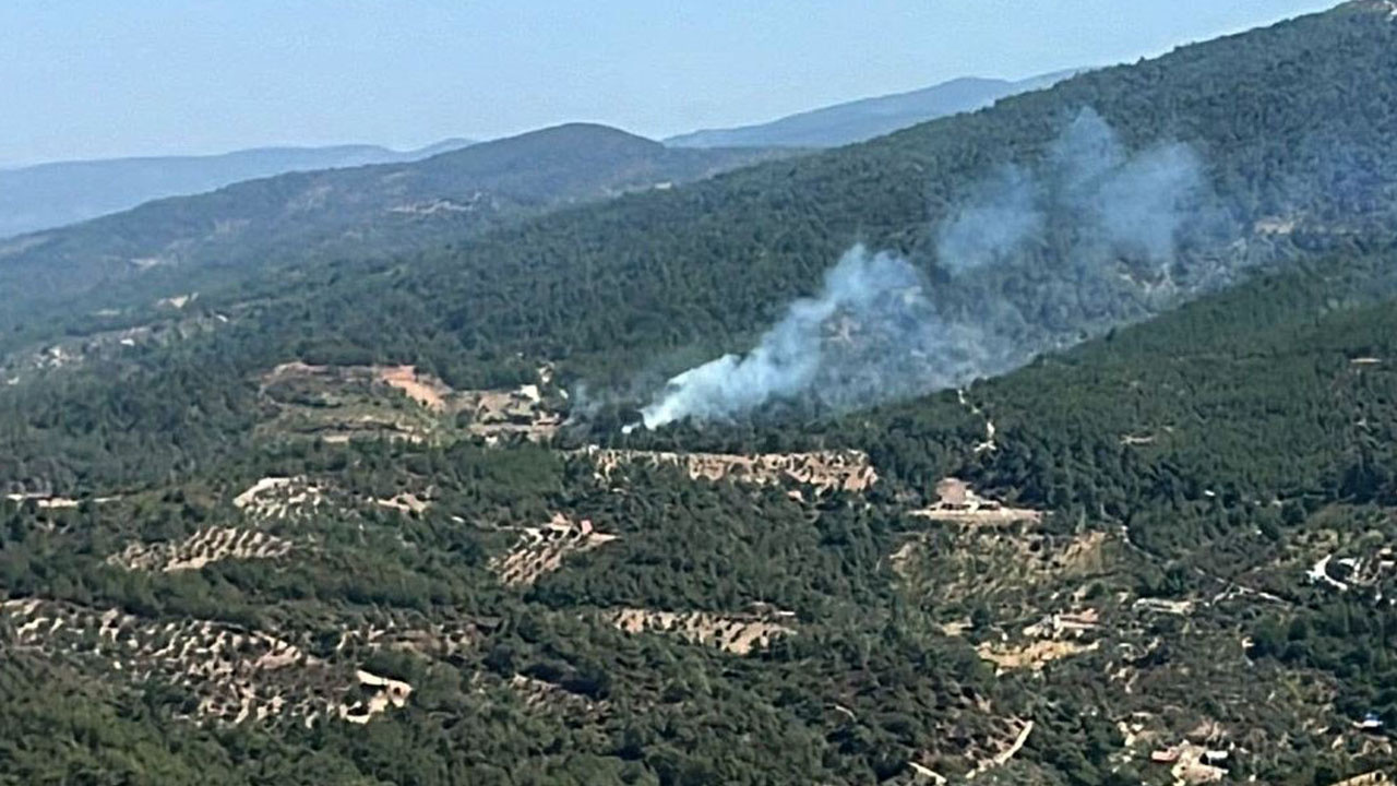 İzmir’de Ormanlık Alanda Yangın